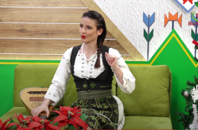 stela botez