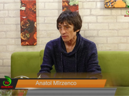 mirzenco