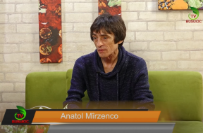 mirzenco